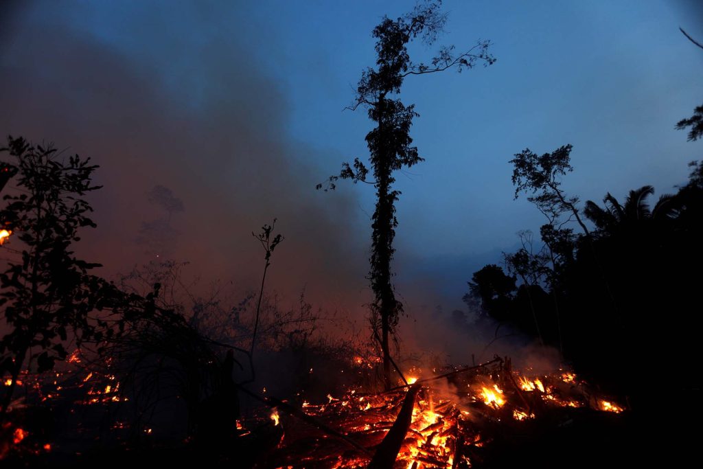 Amazona Incendio 2