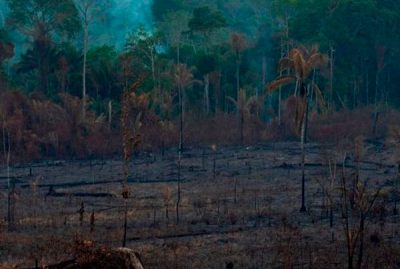 Incendio Amazonas