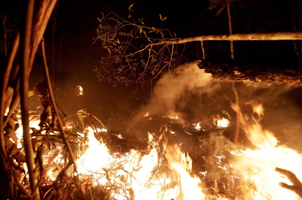 Incendio Amazonas noche